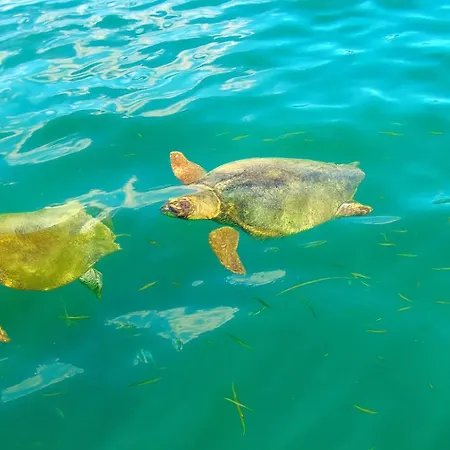 Polytropon Ground Floor * Κάστρο