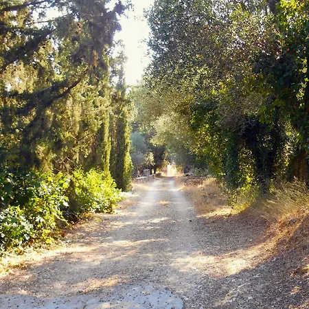 Polytropon Ground Floor Κάστρο